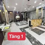 Bán shophouse mặt tiền Nguyễn Lương Bằng Huế 114.3m² 1 tỷ - Ảnh thu nhỏ 5