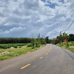Bán đất 100m2 thổ cư Nha Bích, Bình Dương 600 triệu - Ảnh thu nhỏ 2
