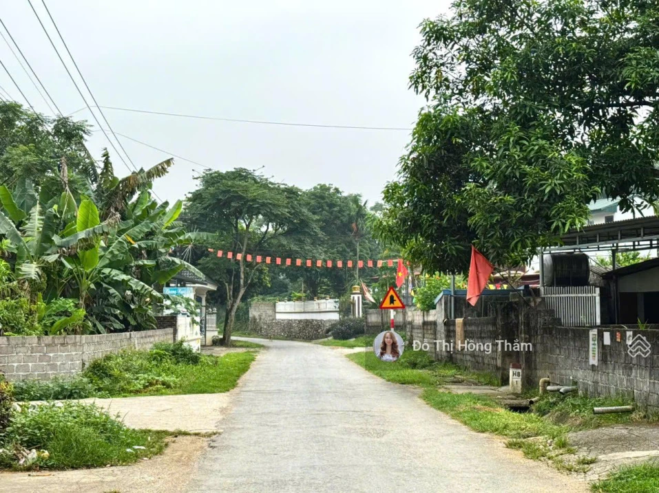 Chủ cần bán 1290m² tại Thanh Sơn, bám trục đường nhựa liên xã làm nghỉ dưỡng giá rẻ chỉ 3,7tr/m² - Ảnh thu nhỏ 2