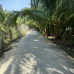 Bán đất vườn dừa 4.5 công mặt tiền 173 Tam Phước, Bình Dương - Ảnh thu nhỏ 3