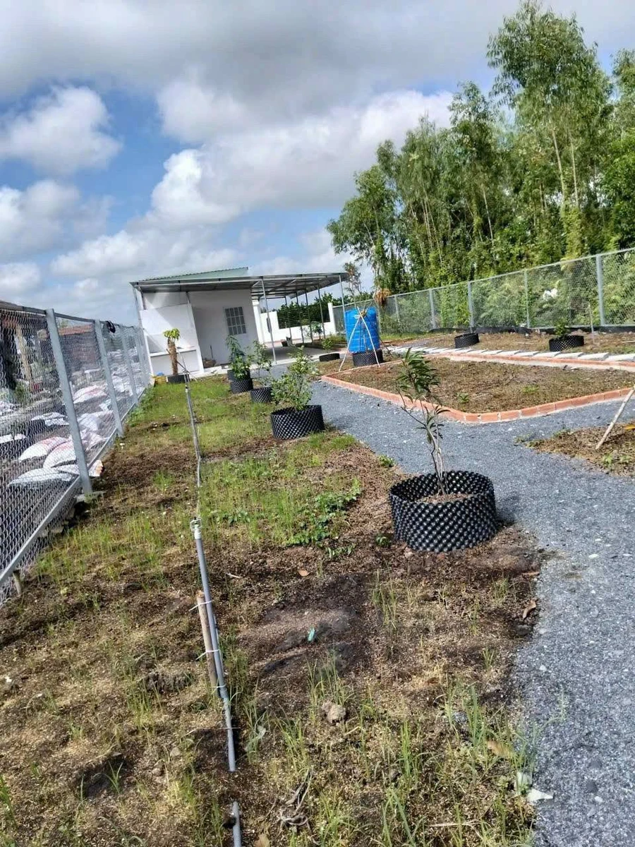 Bán nhà vườn 1000m² Thủ Thừa, Long An giá 1,199 tỷ - Ảnh thu nhỏ 4