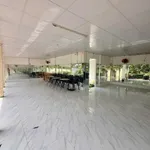 Bán nhà đất 745m² Xã Phú Hưng, Bến Tre 2,8 tỷ - Ảnh thu nhỏ 5
