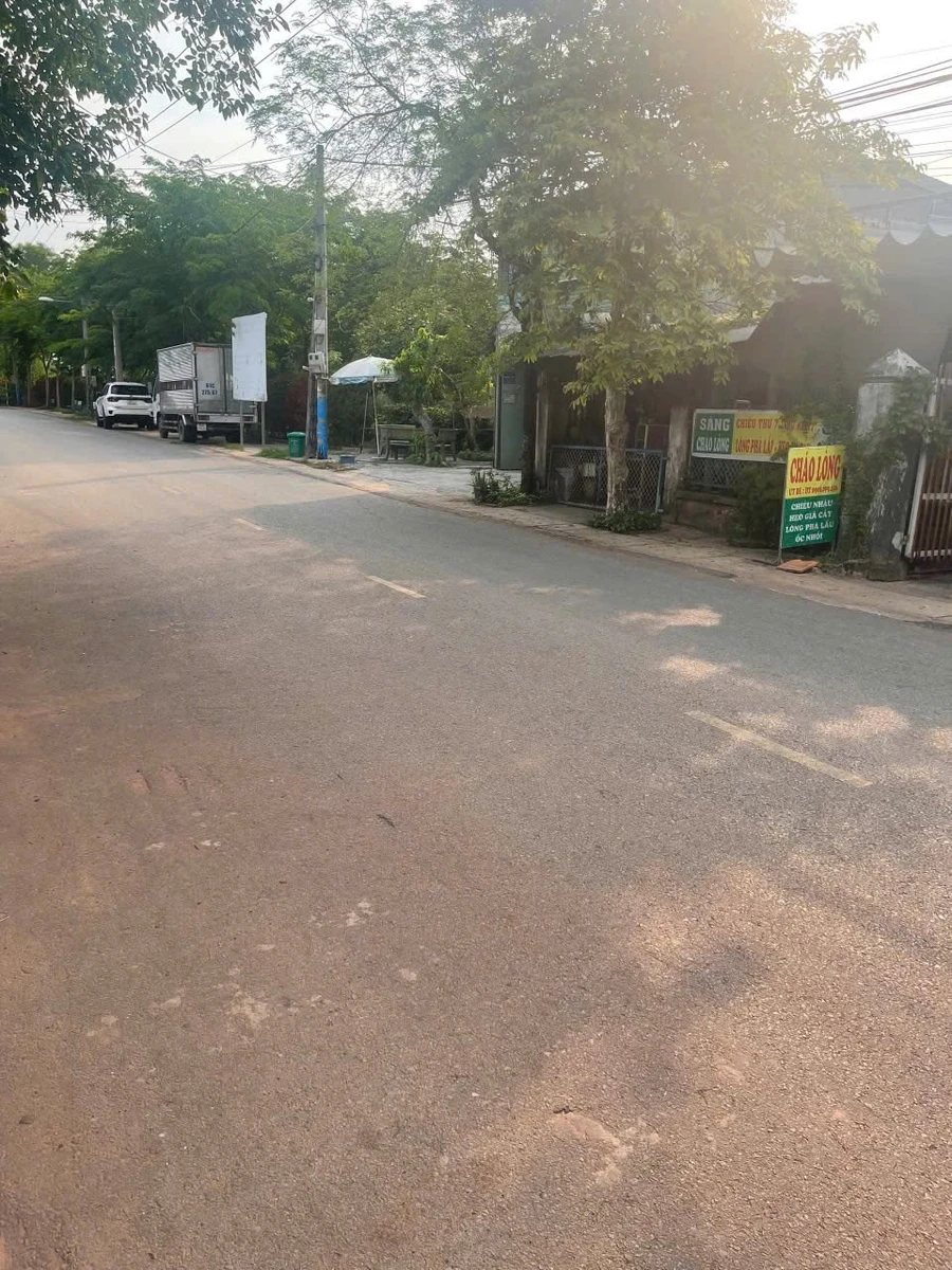 Bán đất 383m² có dãy trọ & nhà xưởng Tương Bình Hiệp, Bình Dương - Ảnh thu nhỏ 4