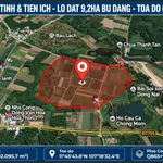 Bán 9,2 ha đất rừng sản xuất có cao su, sầu riêng tại Bù Đăng, Bình Phước - Ảnh thu nhỏ 1
