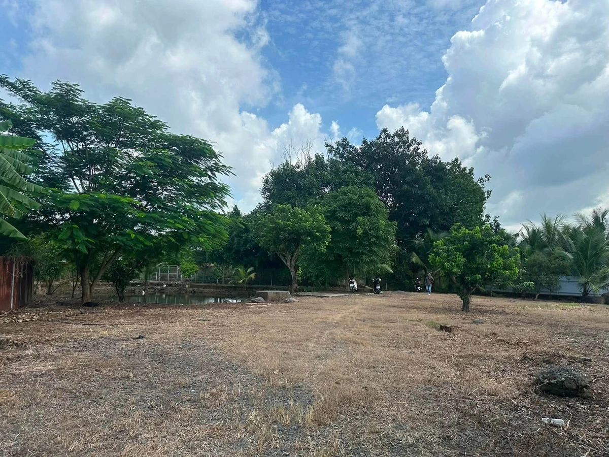 Bán đất nông nghiệp 3600m² tại Trảng Bom, Bình Dương - Ảnh thu nhỏ 4