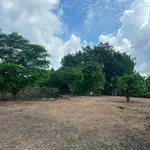 Bán đất nông nghiệp 3600m² tại Trảng Bom, Bình Dương - Ảnh thu nhỏ 4