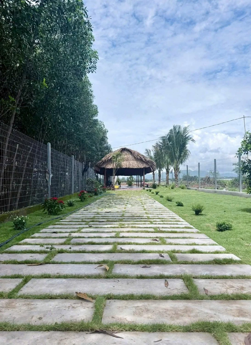 Bán đất mặt tiền Tỉnh lộ 52, 365m², ngang 8m, giá 2,7 tỷ, Xã Đất Đỏ - Ảnh thu nhỏ 3