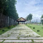 Bán đất mặt tiền Tỉnh lộ 52, 365m², ngang 8m, giá 2,7 tỷ, Xã Đất Đỏ - Ảnh thu nhỏ 3