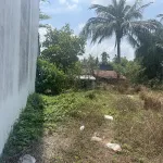 Ngân hàng thanh lý đất tại Đường Tân Lộ Kiều Lương, Châu Đốc, An Giang. Giá tốt 2.451 tỷ - Ảnh thu nhỏ 10