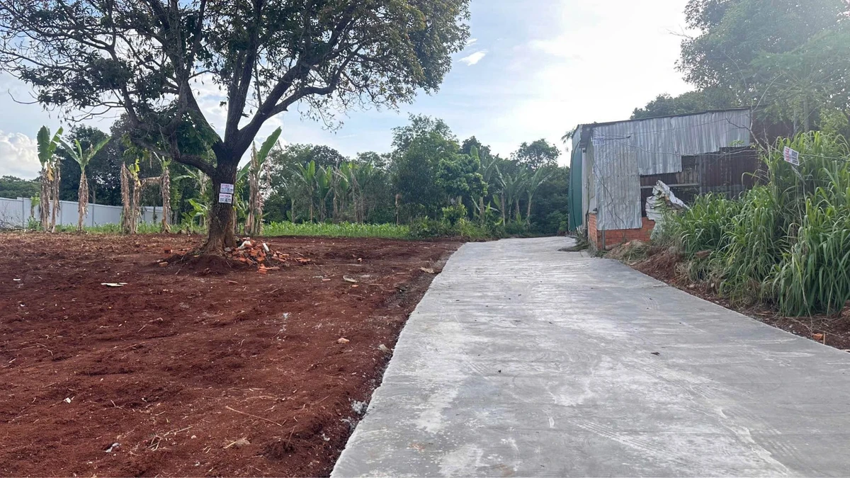 Bán đất đường Ô Việt 150m² 295 triệu - Ảnh 1