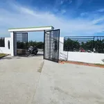 Bán nhà vườn 1.000m² giá 1 tỷ 200 tại Thủ Thừa, Long An - Ảnh thu nhỏ 1
