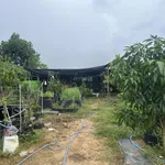 540m đất ở Hội An Tây, cách Nguyễn Tất Thành 500m, chiều ngang 10.5m, đường 13.5m. Giá chỉ 5,56tỷ - Ảnh thu nhỏ 6