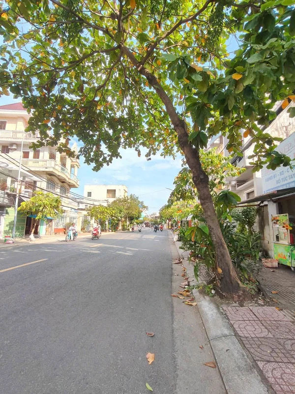 Bán mặt tiền Trần Phú Vũng Tàu 204m²