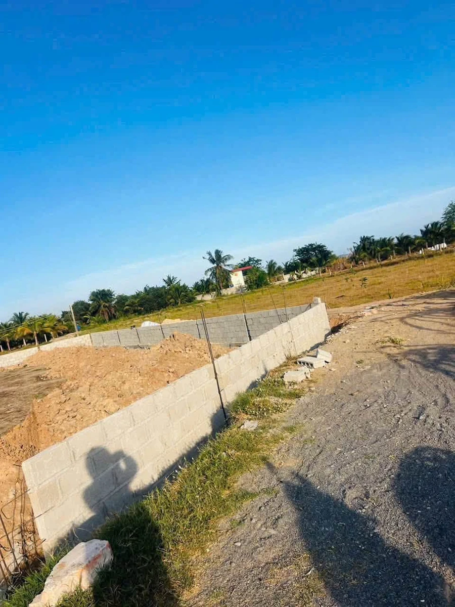 Bán đất cây trồng 1516m² 750 triệu Lâm Đồng - Ảnh thu nhỏ 4