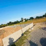 Bán đất cây trồng 1516m² 750 triệu Lâm Đồng - Ảnh thu nhỏ 4
