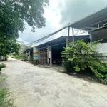 Bán nhà bê tông 10x19m Đức Hòa 2 tỷ - Ảnh thu nhỏ 2