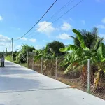 Bán đất 1000m² Xã Phước Hải Cần Giờ 3.6 tỷ - Ảnh thu nhỏ 1