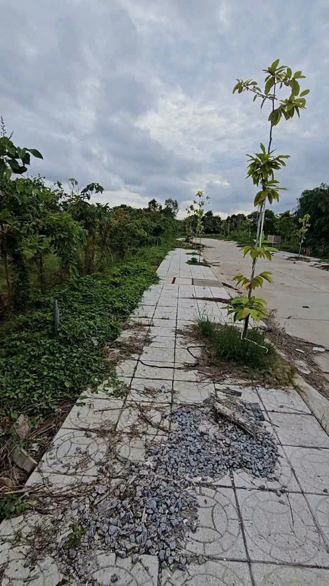 Bán 6 nền đất liền kề 110m² tại Rạch Giá giá 600 triệu - Ảnh thu nhỏ 3