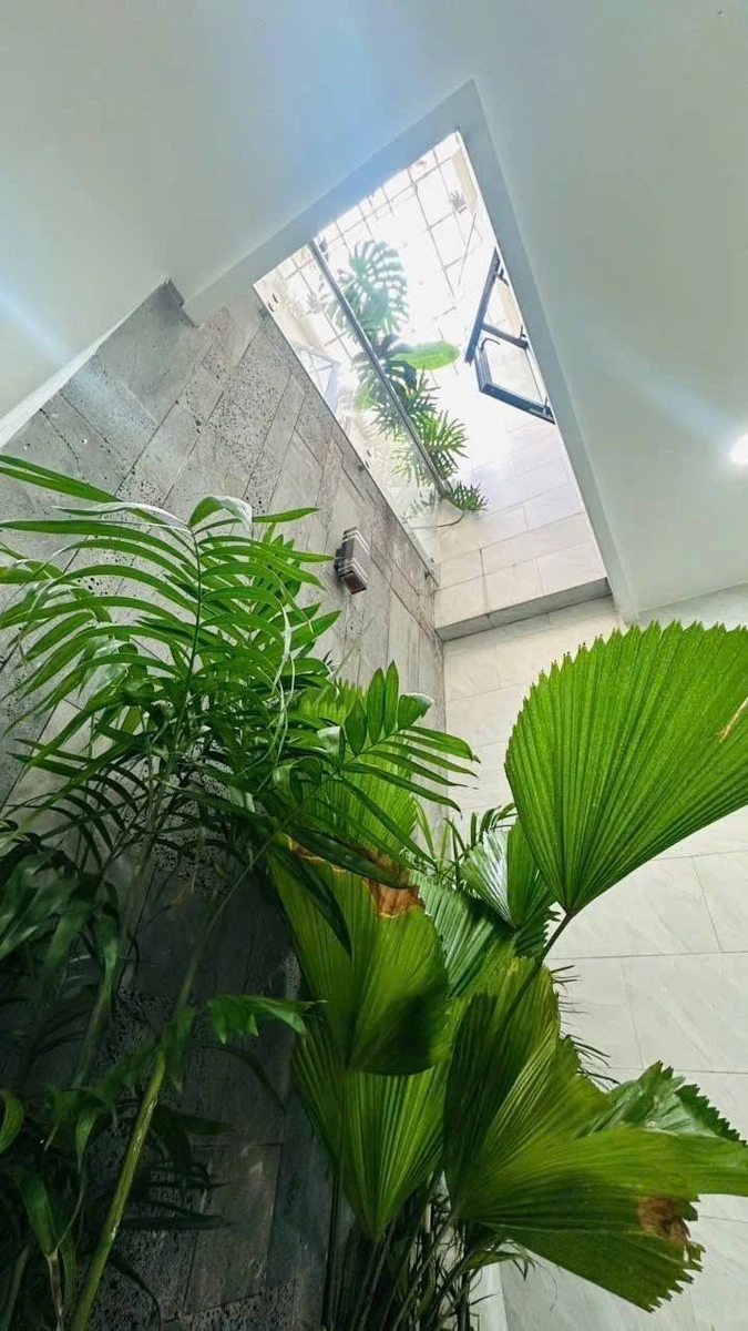Bán nhà Tân Bình 90m2 3 tầng 11 tỷ - Ảnh thu nhỏ 5