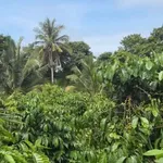Bán lô nhà vườn 884m² view ao suối Phường Eakao, giá 2,1 tỷ - Ảnh thu nhỏ 3