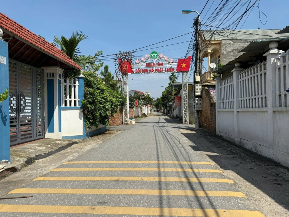 Bán đất trục chính kinh doanh đỉnh Lai Sơn, Đồng Tâm DT 100m2 MT 5m sổ đỏ chính chủ giá chỉ 2,25 tỷ - Ảnh thu nhỏ 2