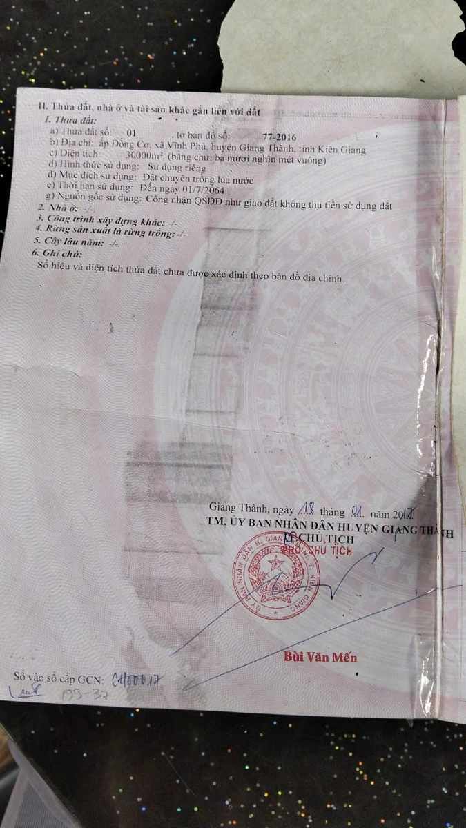 Bán 33 công đất ruộng lúa, An Giang, 105 tr/công - Ảnh thu nhỏ 2