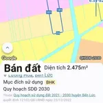 Bán đất vườn mặt tiền nhựa 2475m² Ấp 10 - Ảnh thu nhỏ 1