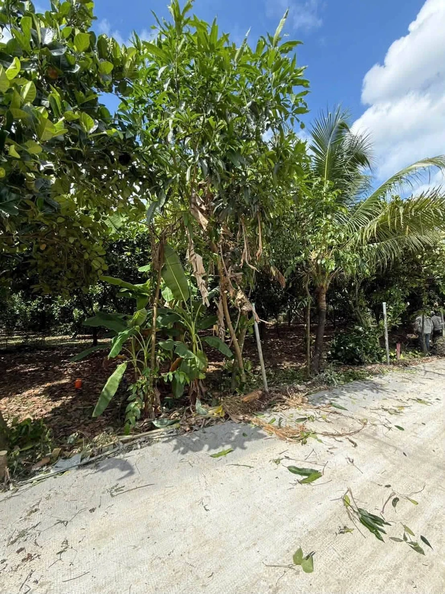 Bán đất vườn 500m² Bảo Vinh, Đồng Nai, 650 triệu - Ảnh thu nhỏ 4