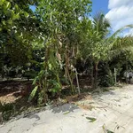 Bán đất vườn 500m² Bảo Vinh, Đồng Nai, 650 triệu - Ảnh thu nhỏ 4