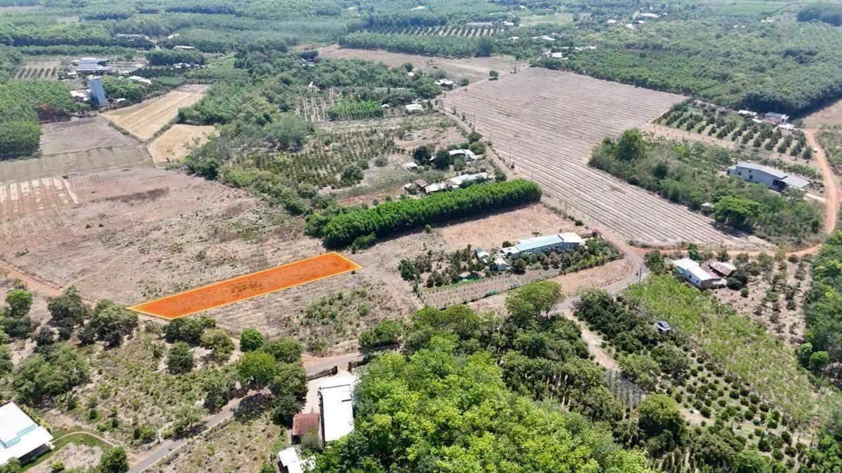Bán đất 1.340m2 Ấp 1 Thanh Hòa, Bù Đốp, Bình Phước - Ảnh thu nhỏ 2