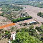 Bán đất 1.340m2 Ấp 1 Thanh Hòa, Bù Đốp, Bình Phước - Ảnh thu nhỏ 2