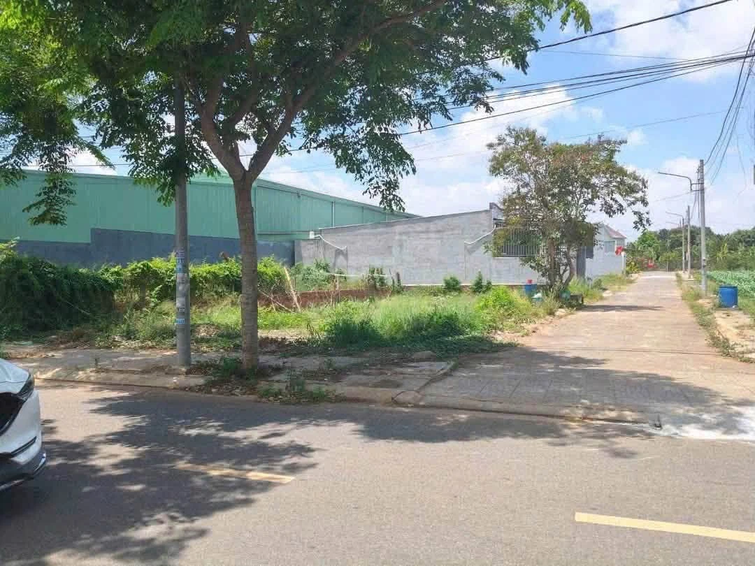Bán đất 121m2 (100m2 thổ cư) sổ hồng riêng, đường nhựa, Long Phước, Thủ Đức - Ảnh thu nhỏ 2