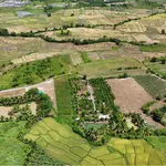 Bán 2,5 sào đất view Bến Mỹ Thuận, 1 tỷ 90 triệu - Ảnh thu nhỏ 4