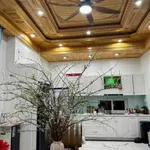 Bán nhà 3 tầng tân cổ điển mặt tiền Tăng Bạt Hổ 500m², 15,5 tỷ - Ảnh thu nhỏ 3