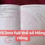 Bán 500m² đất nền Tây Ninh, mặt tiền Thầy Bờ, 1 tỷ 300 triệu - Ảnh thu nhỏ 4