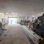 Bán kho xưởng mặt tiền Tỉnh Lộ 835A, 262m² tại Tây Ninh - Ảnh thu nhỏ 3