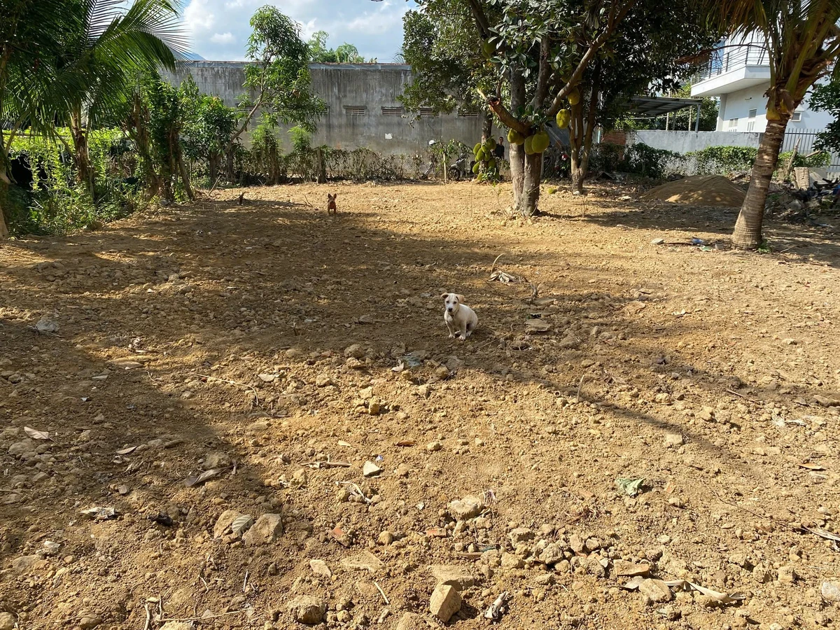 Bán đất làm nhà vườn 270,8m² ngang 9,47m giá 2,95 tỷ tại Diên Khánh, Khánh Hòa - Ảnh 1