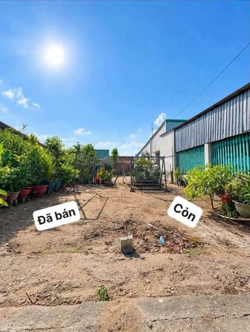 Bán lô đất Hiệp An Thủ Dầu Một 116m² giá 1 tỷ 380 triệu - Ảnh thu nhỏ 4