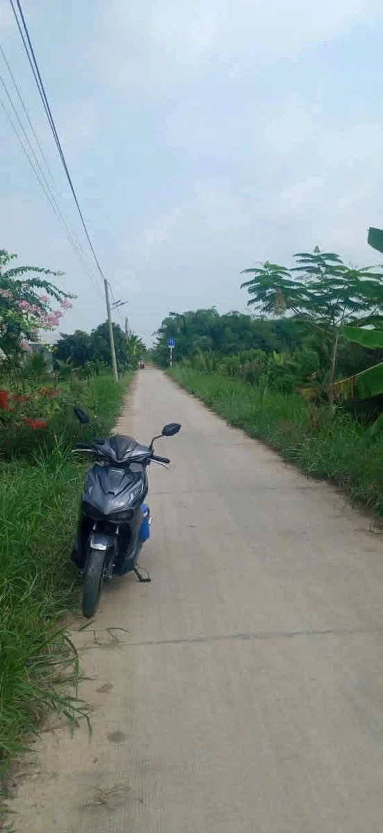 Bán nền thổ cư mặt tiền đường đan ô tô 117m2 giá 500 triệu tại Mỹ Thạnh Tân, Tân Trụ - Ảnh thu nhỏ 2