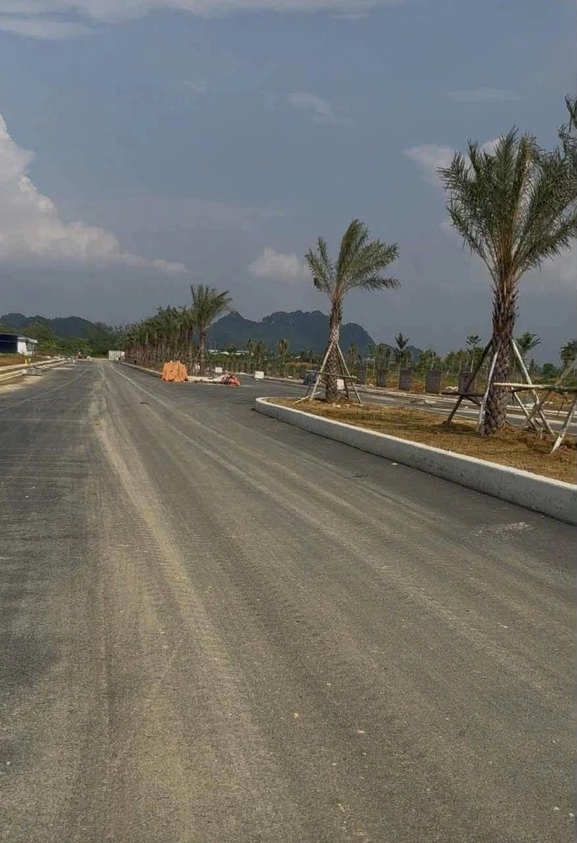 Bán đất 10.000m² Khu Công nghiệp Lương Sơn Hoà Bình - Ảnh thu nhỏ 2