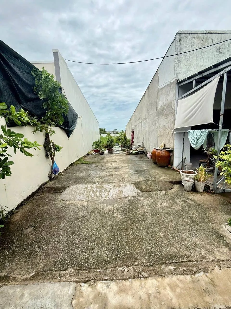 Bán đất mặt tiền đường Trần Mai Ninh, 5x19m thổ cư, Vĩnh Quang, Rạch Giá, An Giang - Ảnh 1