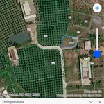 Bán đất 201m2 Hàm Liêm Nhà Bè, gần chợ Tân Nông - Ảnh thu nhỏ 4