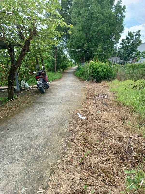 Bán đất thổ cư 234m² mặt tiền Ấp Bào Dài, Châu Thành, Long An