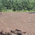 Bán đất mặt tiền Đường Thông 5800m² - 2 tỷ - Ảnh thu nhỏ 4