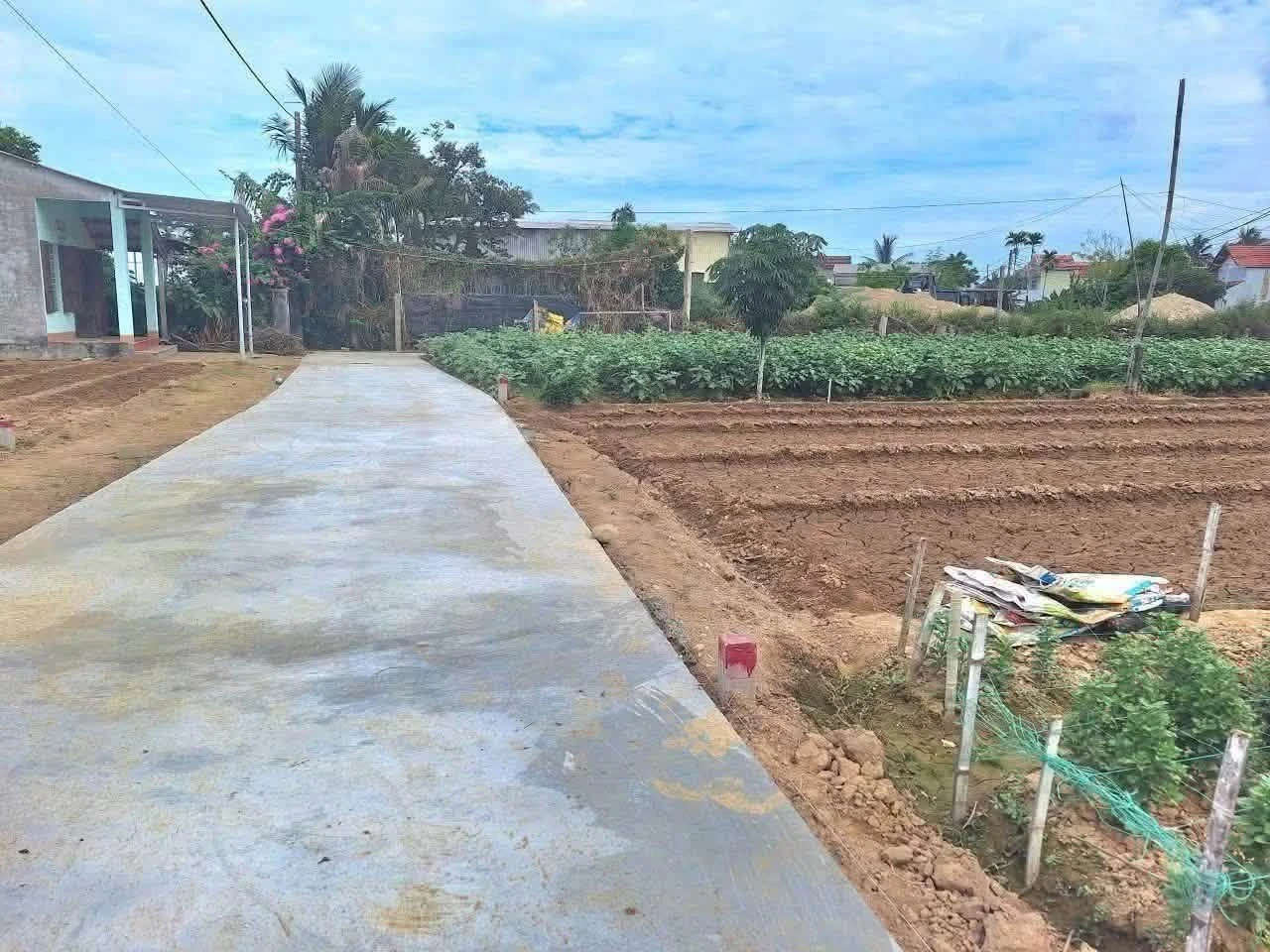 Bán đất nền An Phú 100m², giá 5,5 tỷ - Ảnh 1