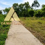 Bán nền thổ cư 100m2 Tân Thành Cà Mau 320 triệu - Ảnh thu nhỏ 1