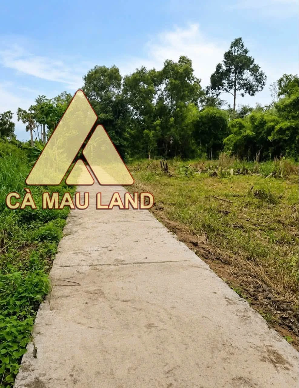 Bán nền thổ cư 100m2 Tân Thành Cà Mau 320 triệu - Ảnh 1