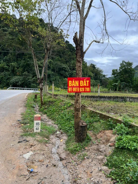 Bán đất: TP Điện Biên Phủ - Tỉnh Điện Biên (mặt đường Quốc lộ 279 - Gần tượng đài kéo pháo) - Ảnh thu nhỏ 3