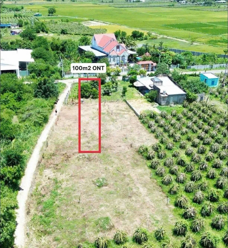 Bán đất mặt tiền 157m Hàm Liêm, Phan Thiết, 650 triệu - Ảnh thu nhỏ 2