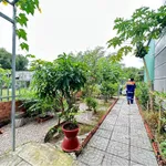 Bán nhà 5x20m (100m²) chỉ 500 triệu Mỹ Xuân - Ảnh thu nhỏ 1